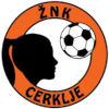 https://img.cnfenxi.com/img/football/team/26a677efcdd89a3407b165d3b180819e.png